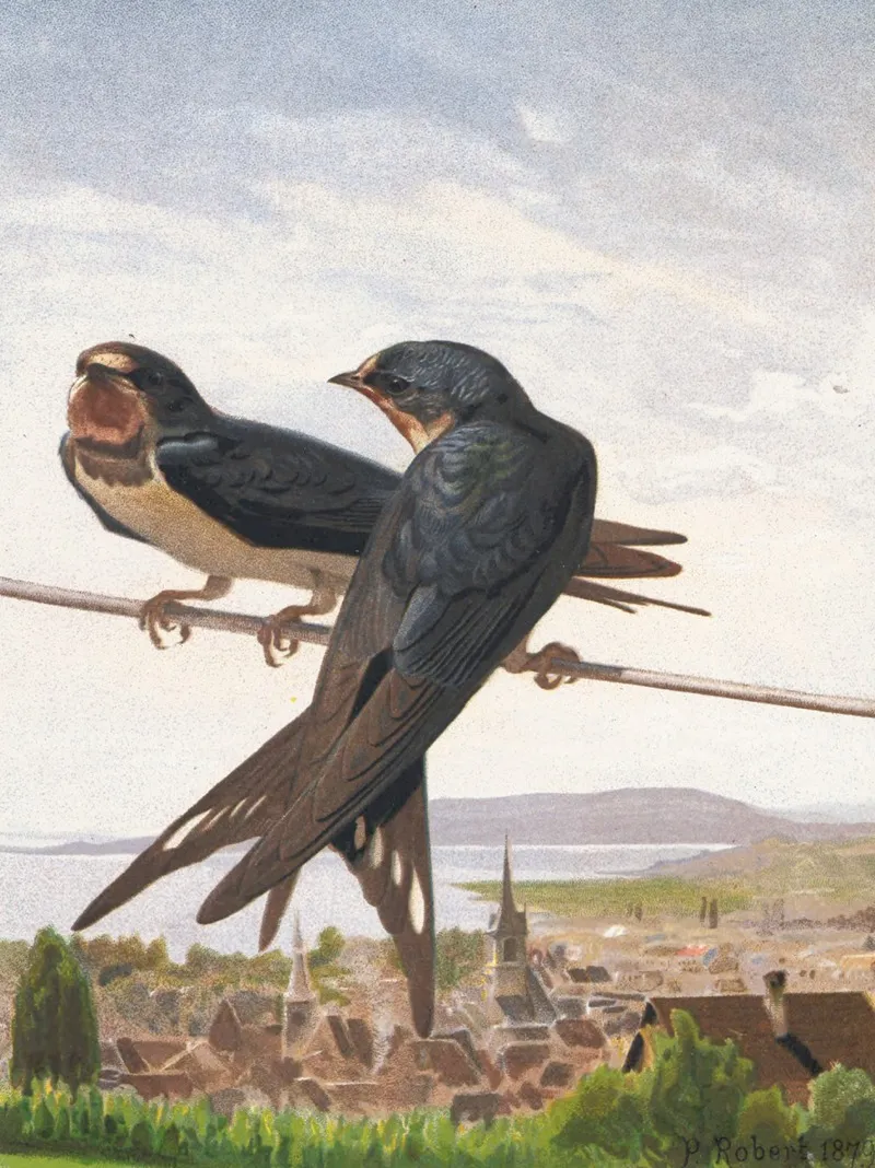 Hirondelle De Cheminee Wall Art by Léo-Paul Robert - High-Resolution Digital Print