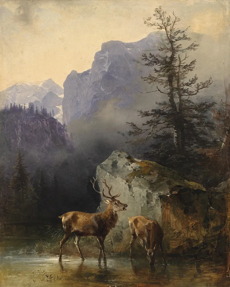 Hirsch Und Tier An Der Tranke