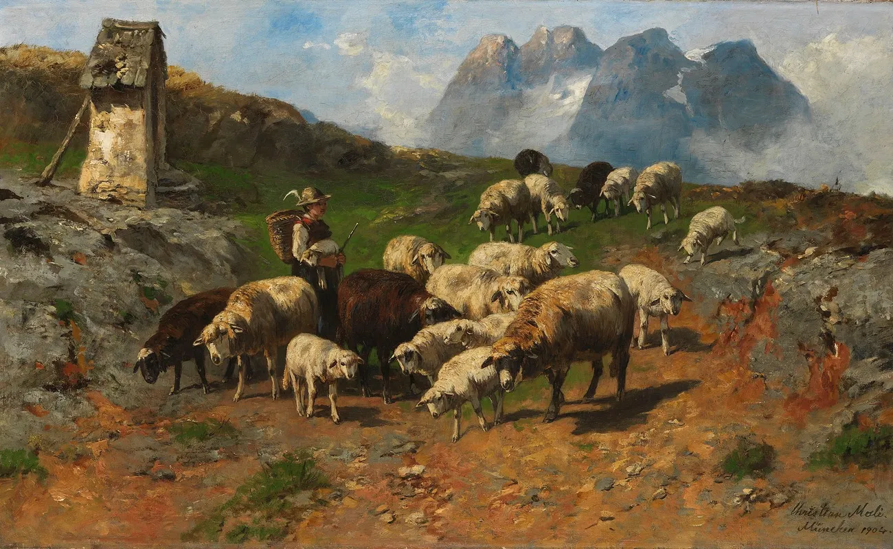 Hirtenjunge Mit Schafen Im Gebirge