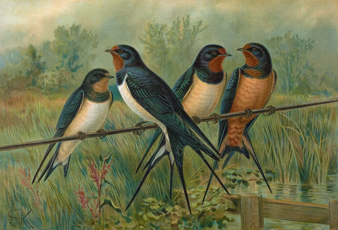 Hirundo Rustica Hirundo Rustica Savignii Wall Art by Johann Friedrich Naumann - High-Resolution Digital Print