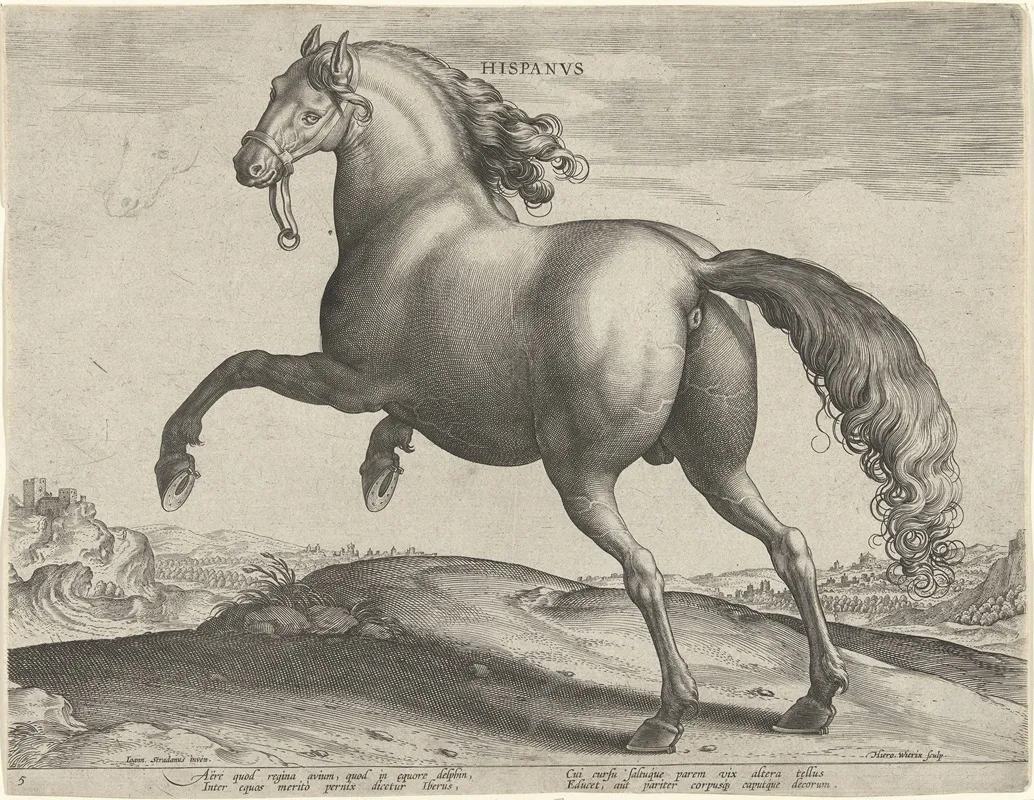 Hispanus Wall Art by Jan Collaert the Elder - High-Resolution Digital Print