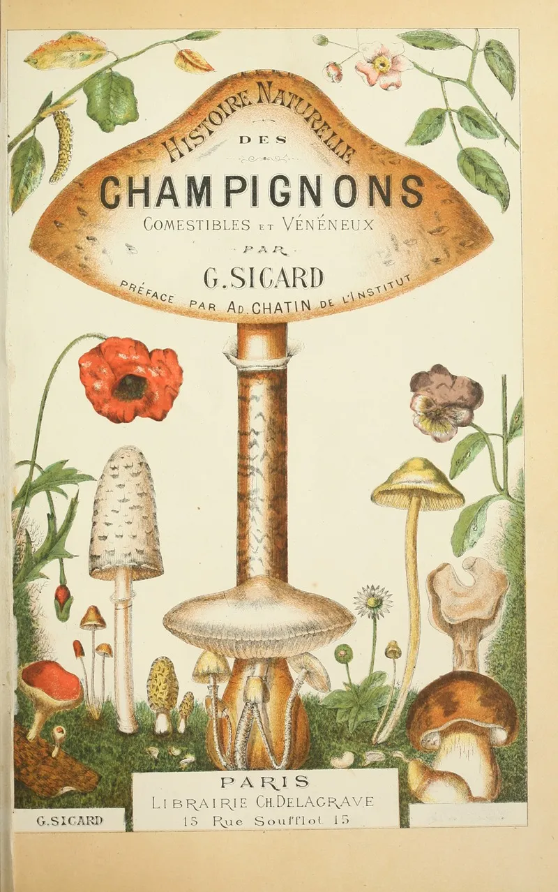 Histoire Naturelle Des Champignons Pl 01 Wall Art by Guillaume Sicard - High-Resolution Digital Print