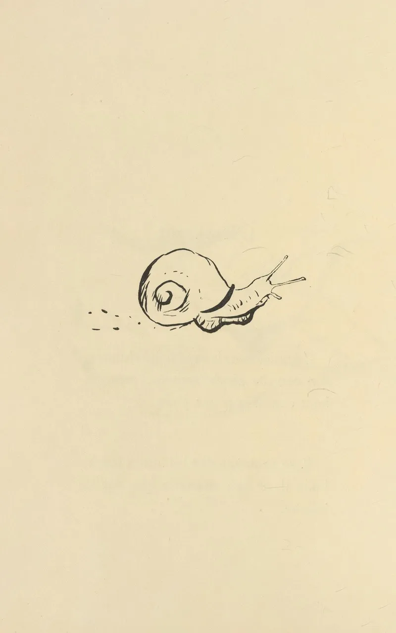 Histoires Naturelles Pl 32