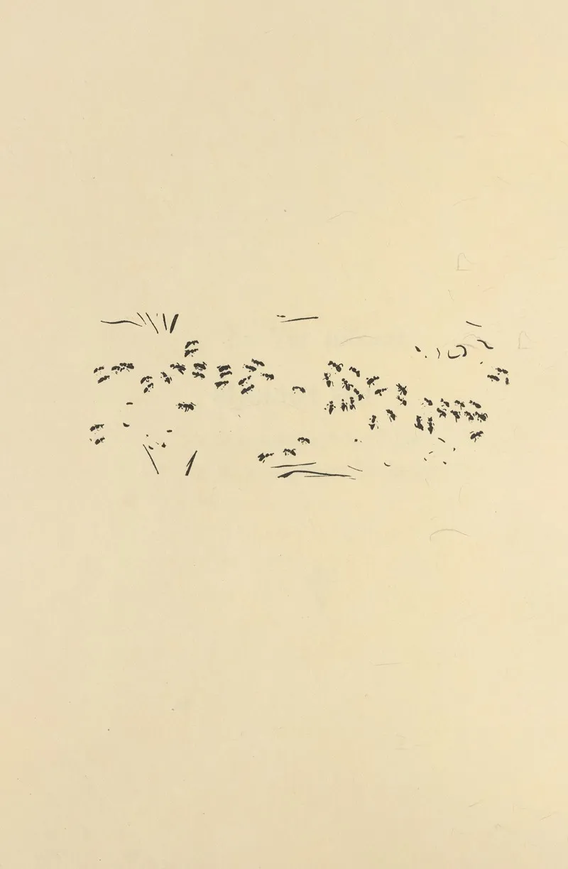 Histoires Naturelles Pl 42