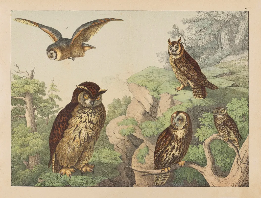 Historja Naturalna Ptakow Natural History Of Birds Pl 05 Wall Art by Gotthilf Heinrich von Schubert - High-Resolution Digital Print