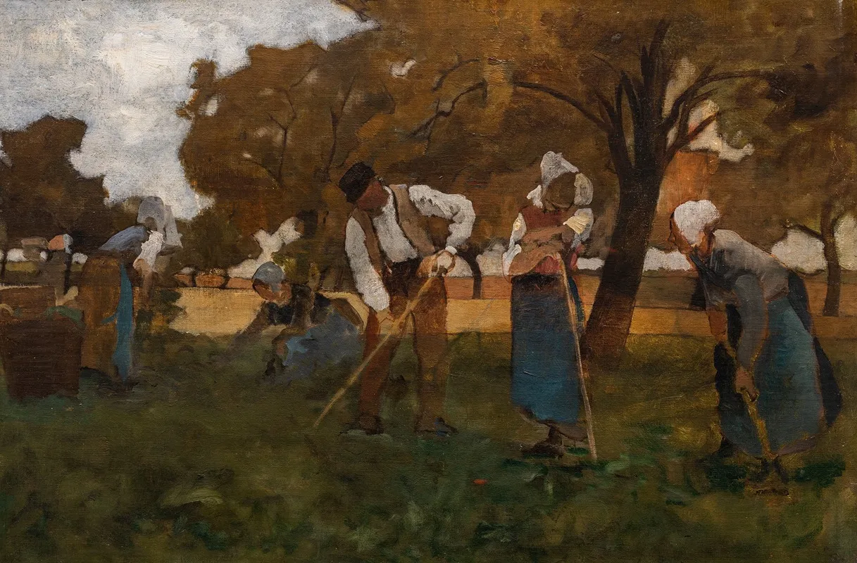 Hoeing White Beats In Picardy Study