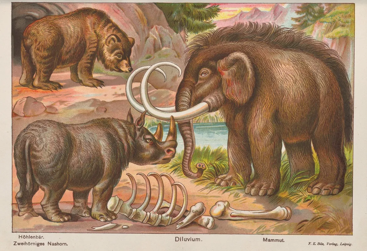 Hohlenbar Dilovium Mammut Wall Art by Oskar Hoffmann - High-Resolution Digital Print