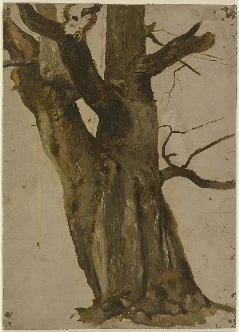 Hollow Tree