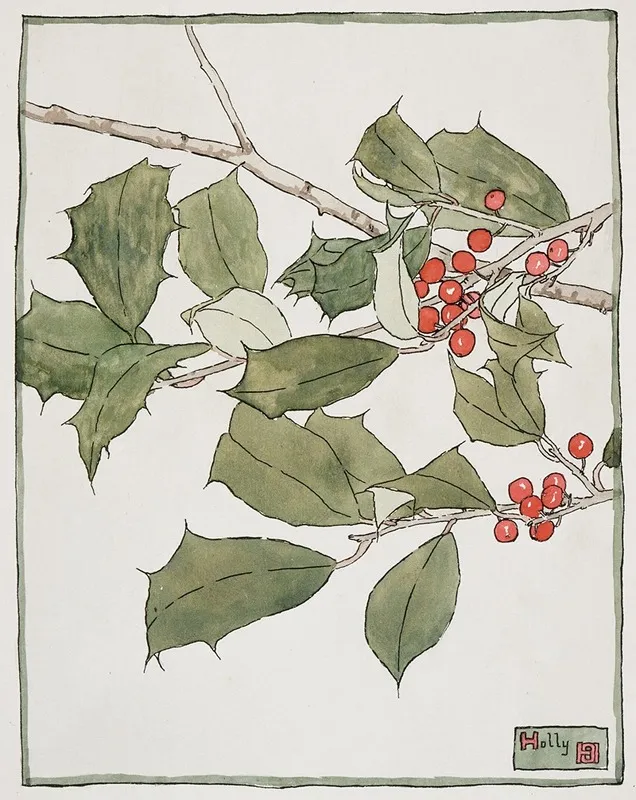Holly
