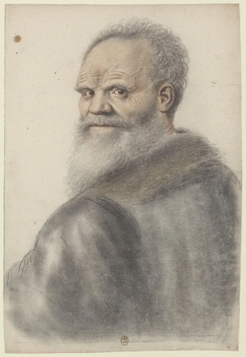 Homme Age A Longue Barbe De Dos Se Retournant La Tete Vue De Trois Quarts A Gauche Wall Art by Nicolas Lagneau - High-Resolution Digital Print