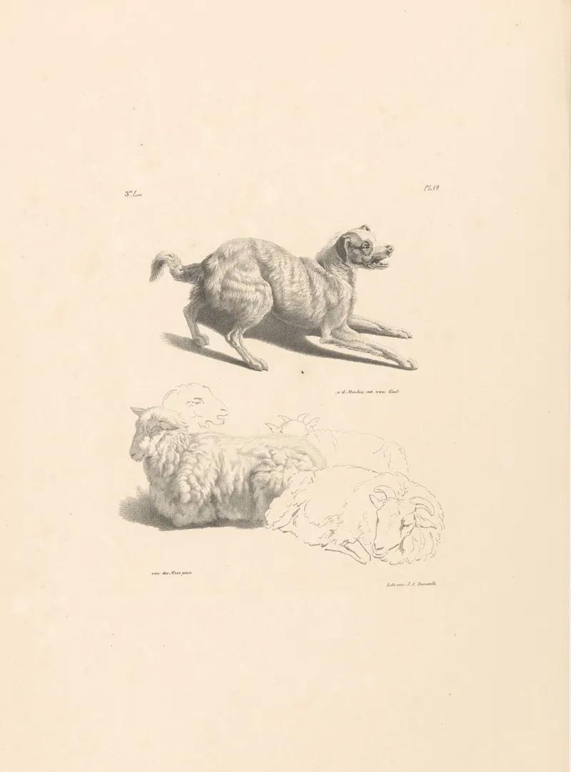 Hond En Schapen Wall Art by Roelof van der Meulen - High-Resolution Digital Print