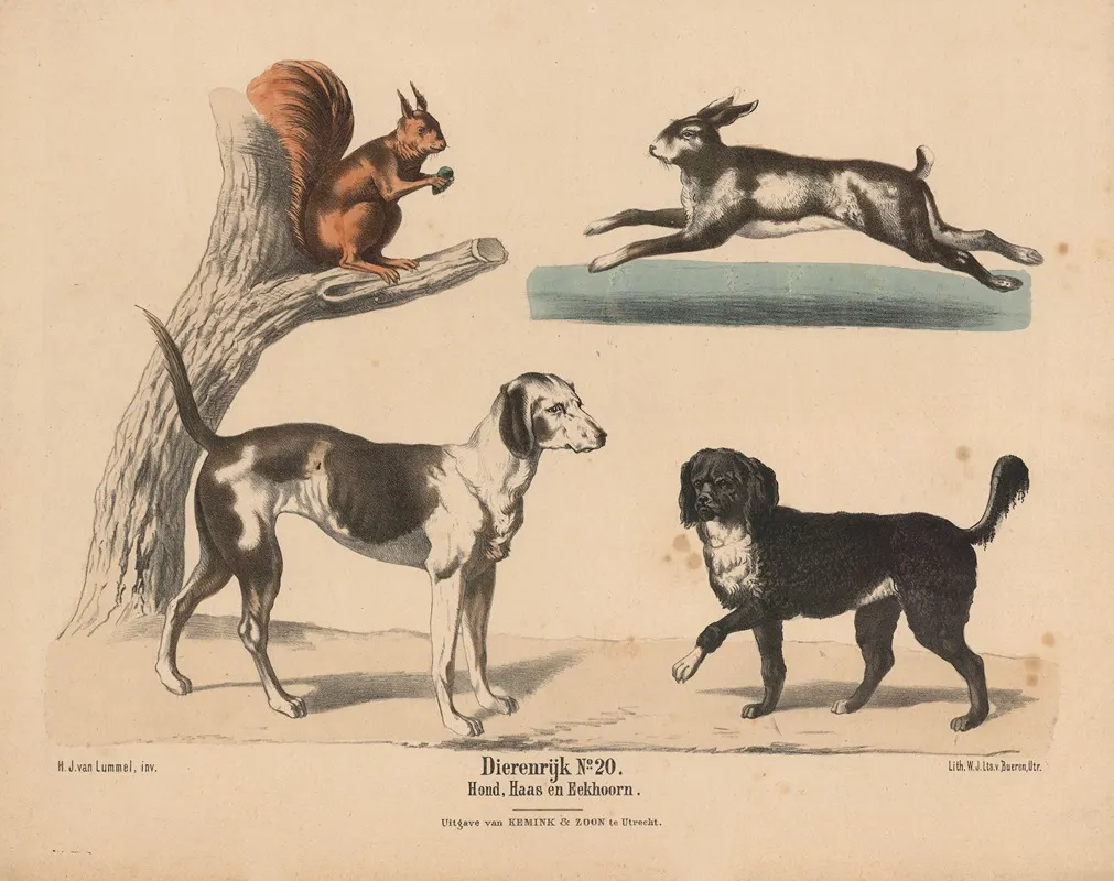 Hond Haas En Eekhoorn Wall Art by Hendrik Jan van Lummel - High-Resolution Digital Print