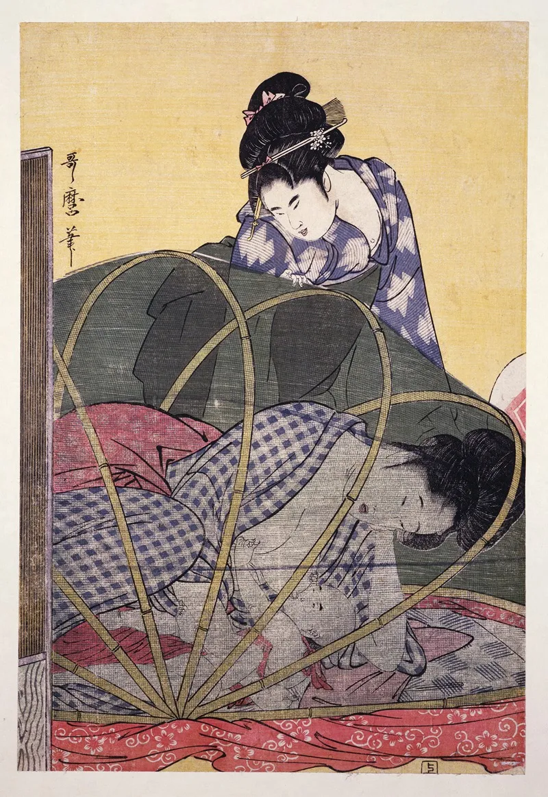 Horo Gaya Mosquito Net For A Baby
