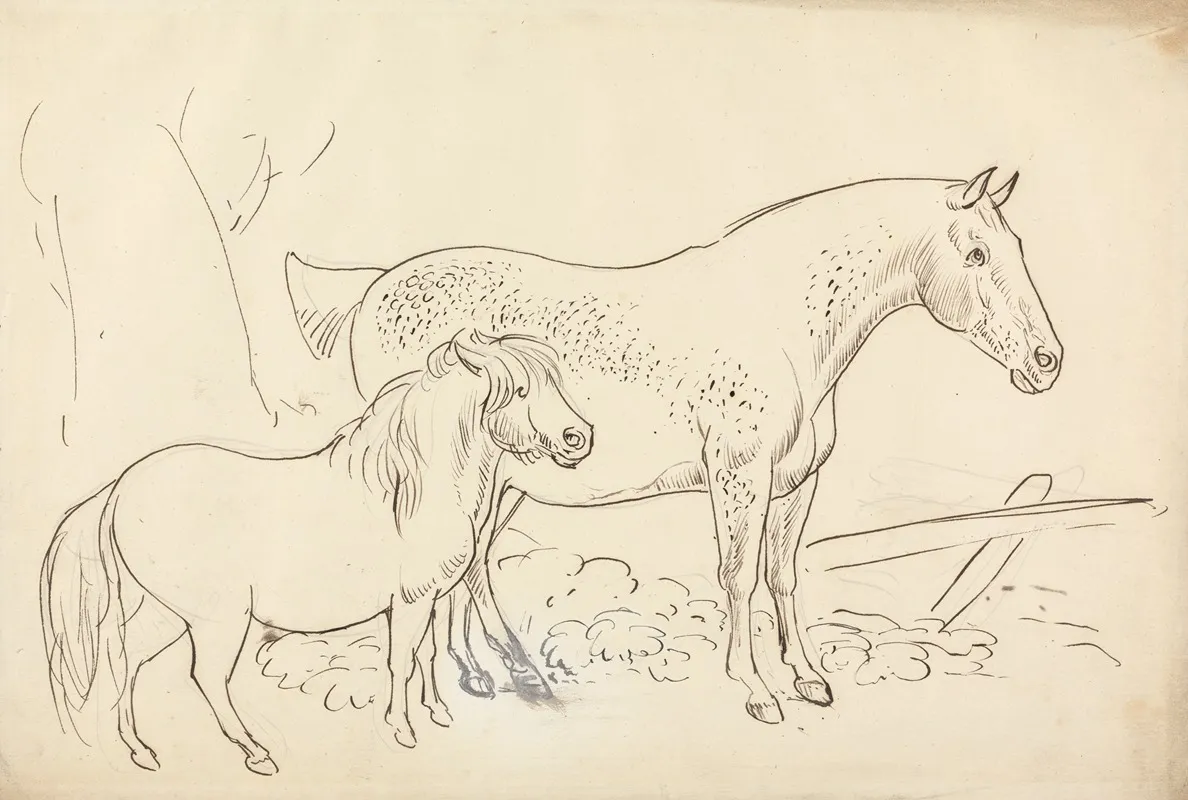 Horse And Pony Wall Art by James Howe - High-Resolution Digital Print