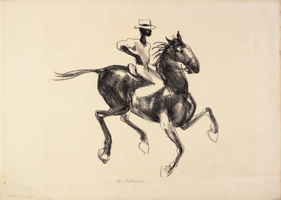 Horse And Rider 3