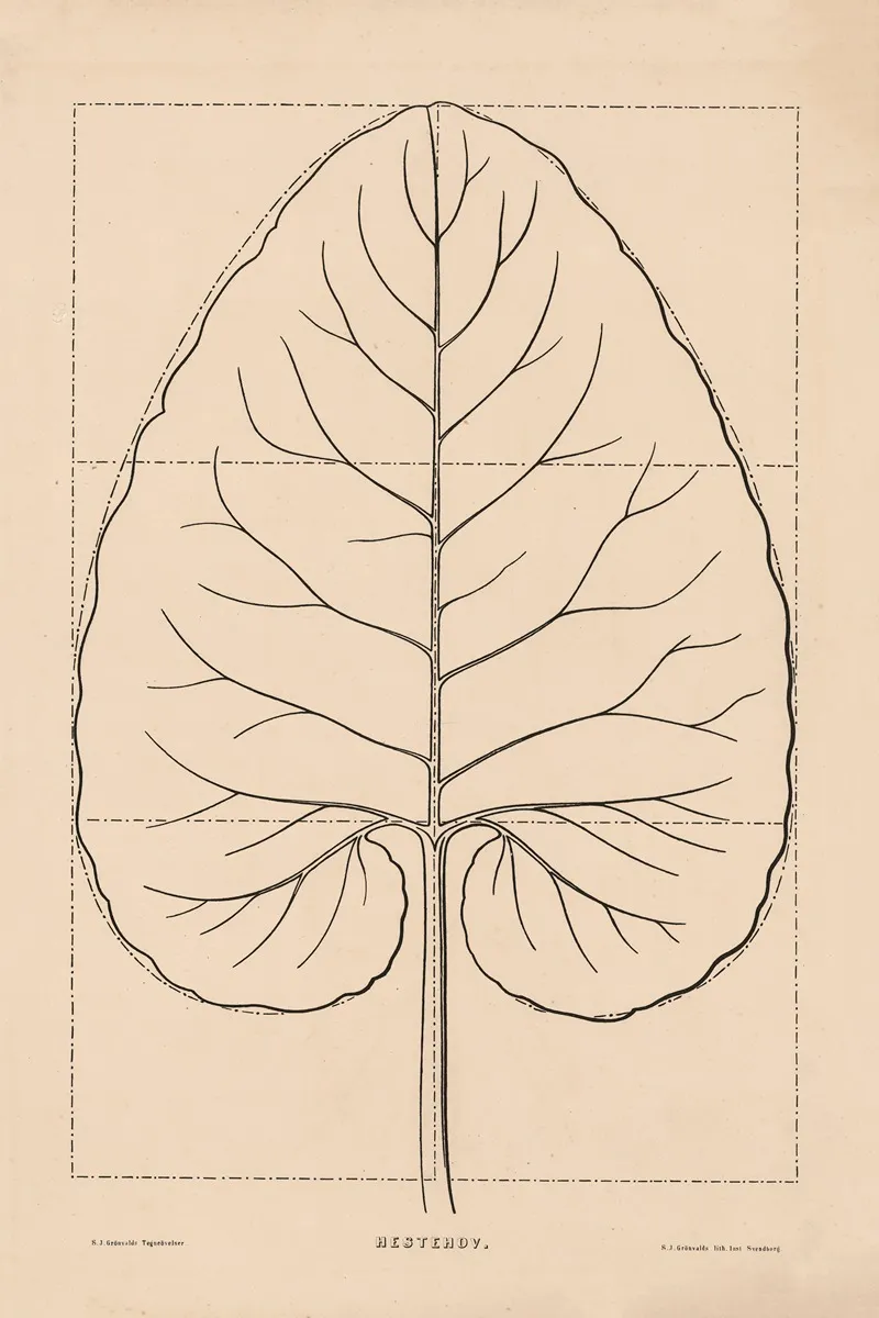 Horse Chestnut One Leaf Wall Art by Søren Jacob Grønvald - High-Resolution Digital Print