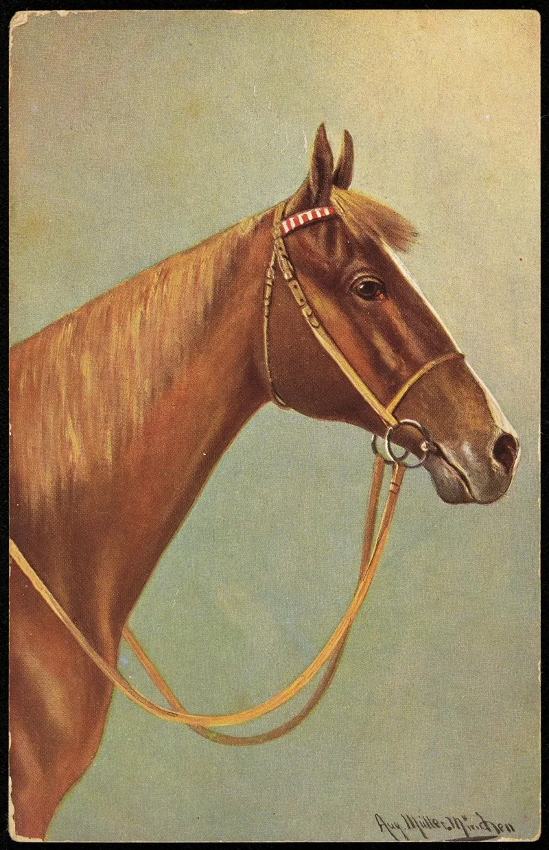Horse Head 3 Wall Art by August Müller - High-Resolution Digital Print