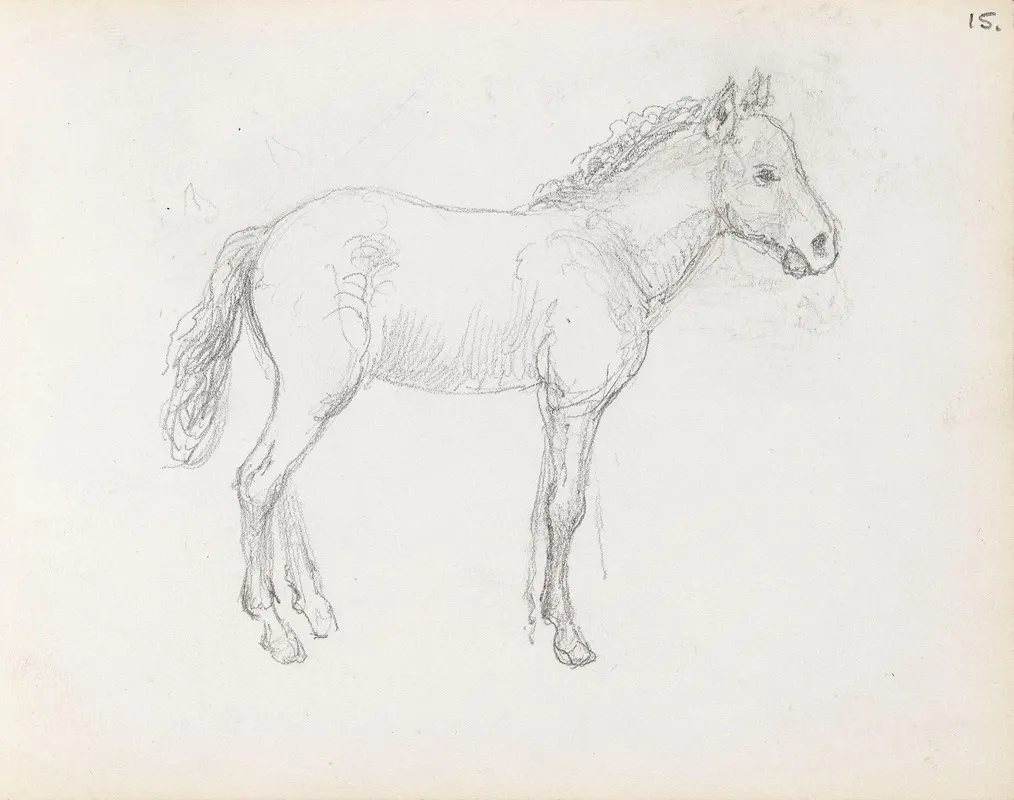 Horse Study 2 Wall Art by Adolph Tidemand - High-Resolution Digital Print