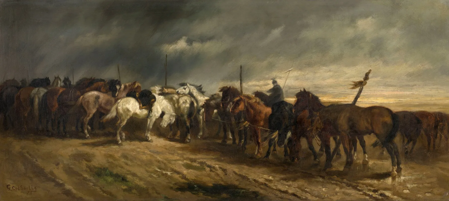 Horses 5