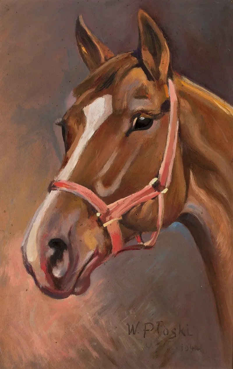 Horses Head 3 Wall Art by W. Płoski - High-Resolution Digital Print