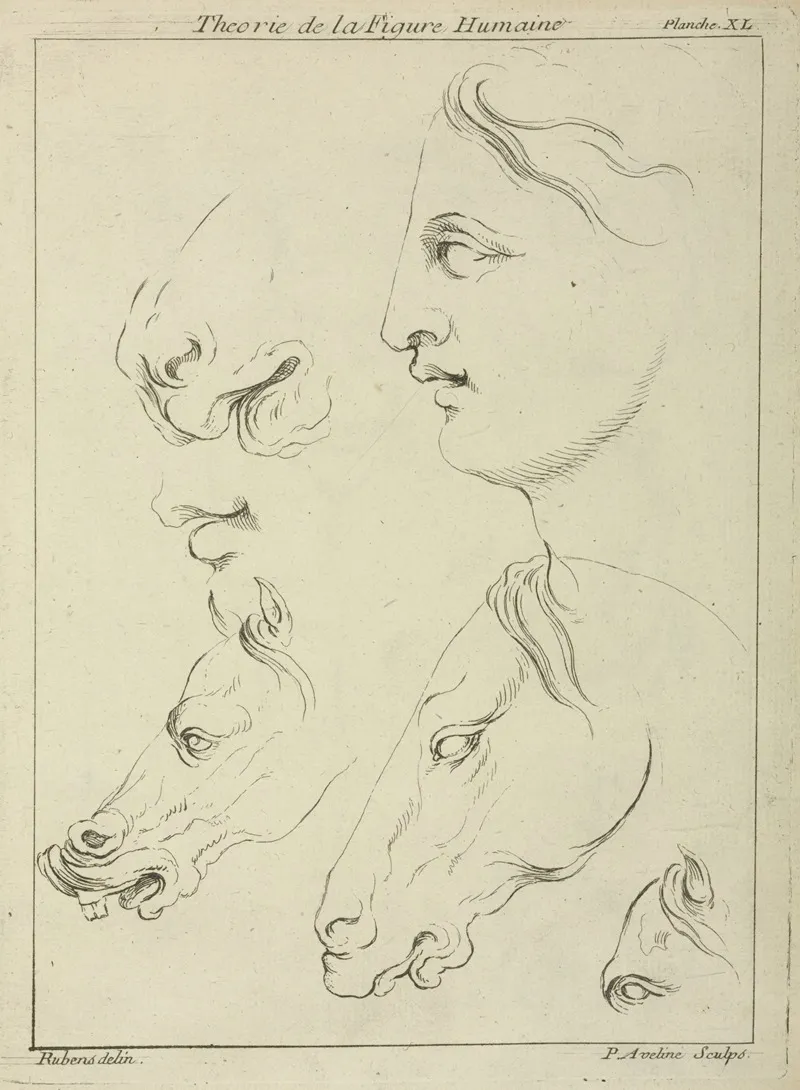 Horses Heads And Human Head In Profile With Detail Of Horses Eye And Nose Wall Art by Peter Paul Rubens - High-Resolution Digital Print