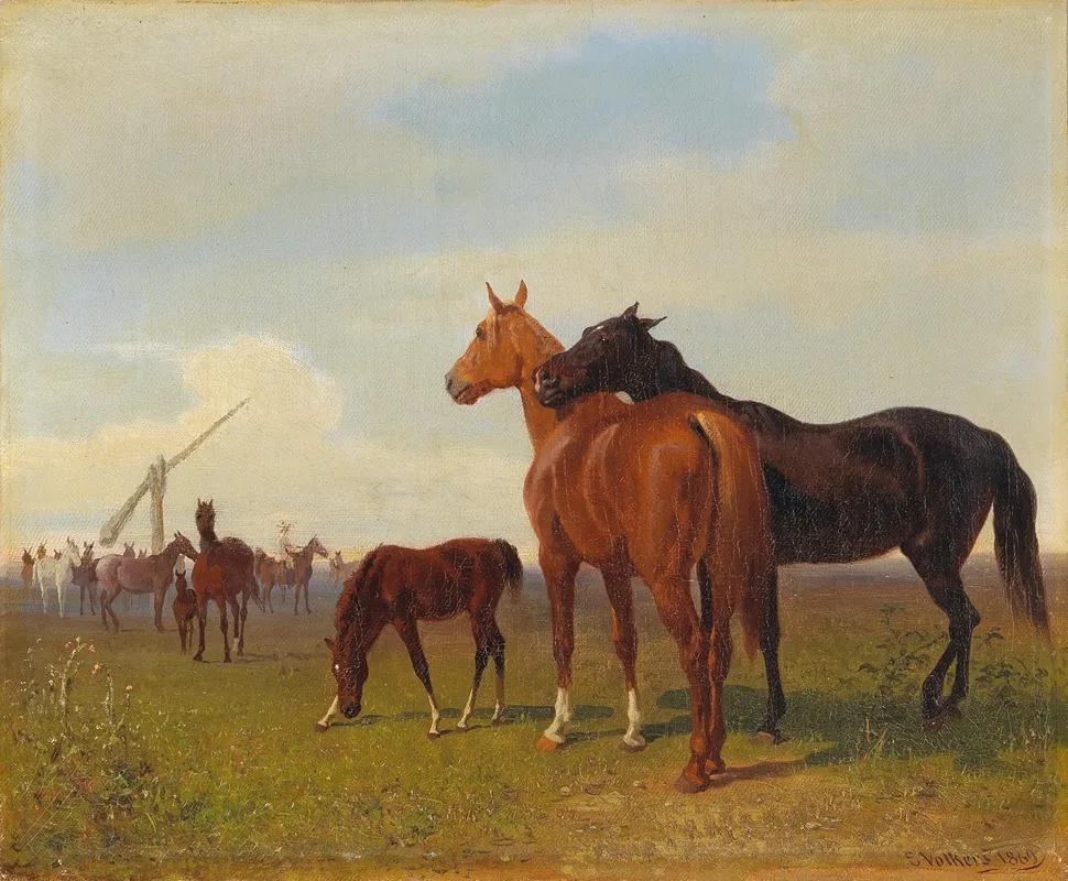 Horses On The Puszta