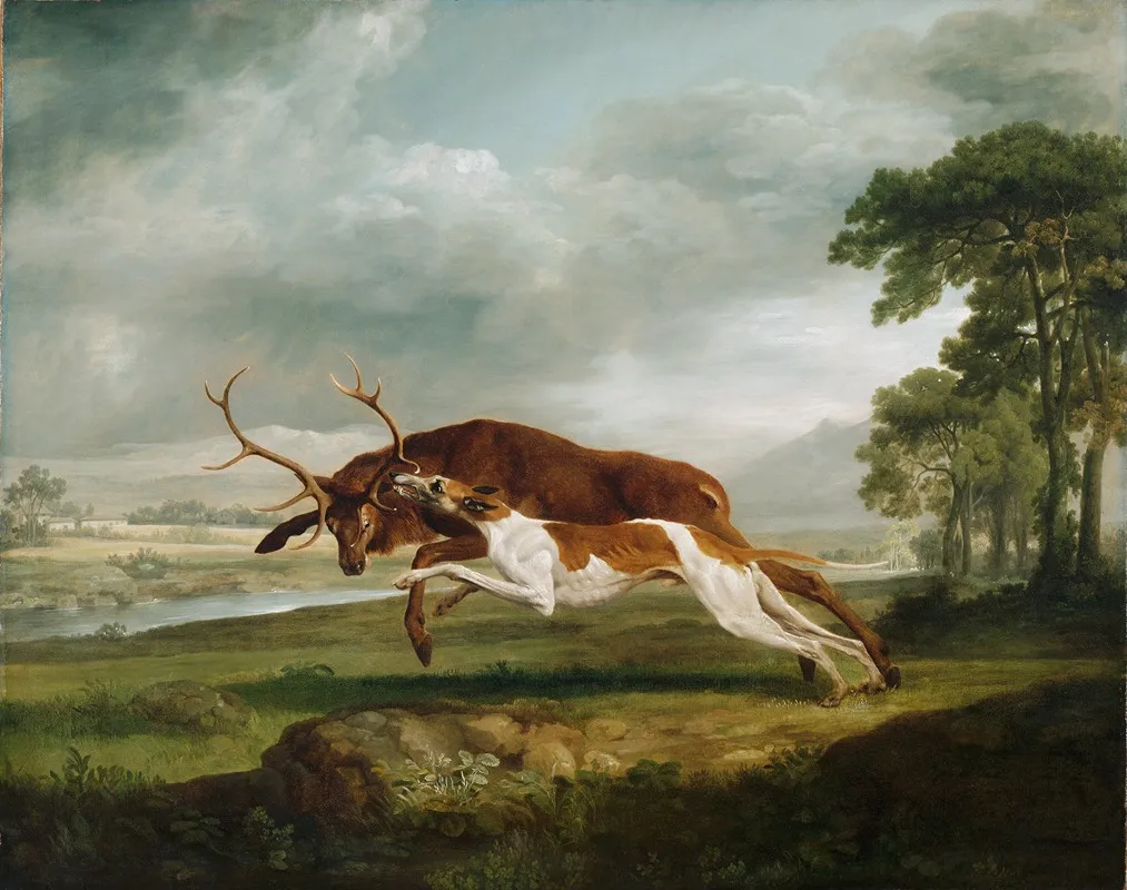 Hound Coursing A Stag Wall Art by George Stubbs - High-Resolution Digital Print