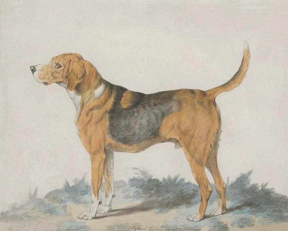 Hound Standing Profile Facing Left Wall Art by Sydenham Teast Edwards - High-Resolution Digital Print
