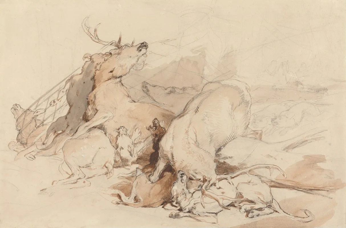 Hounds And Hunters Attacking Deer