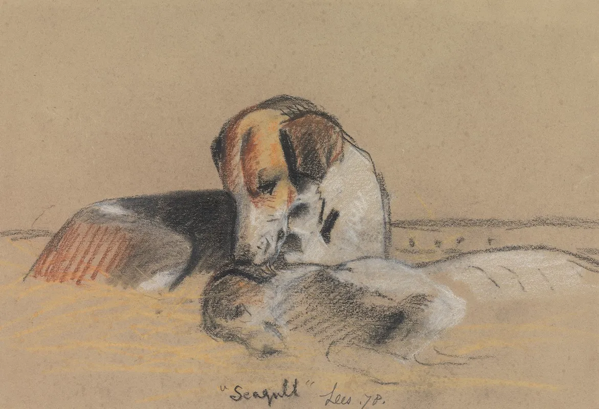 Hounds Seagull
