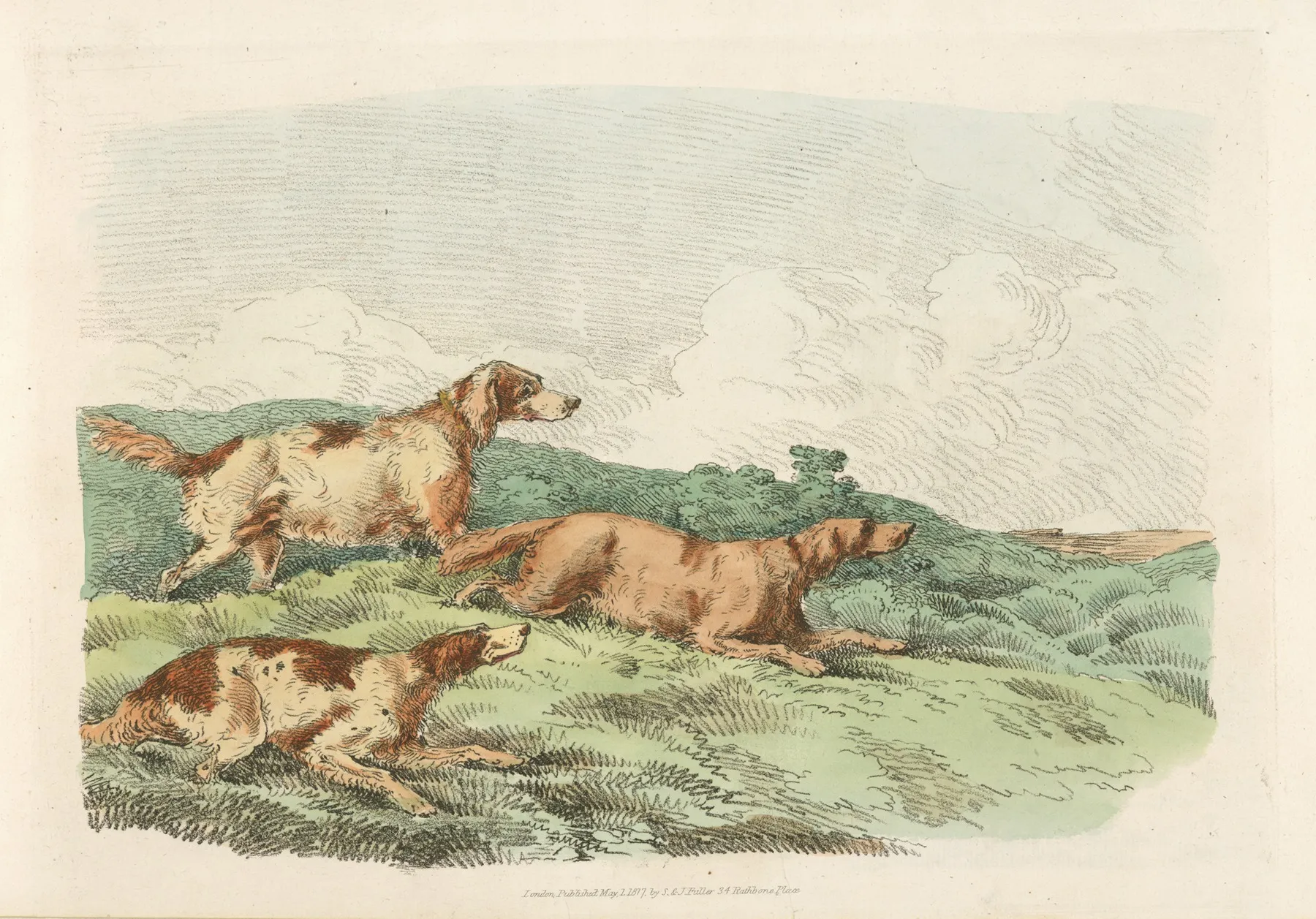Hounds