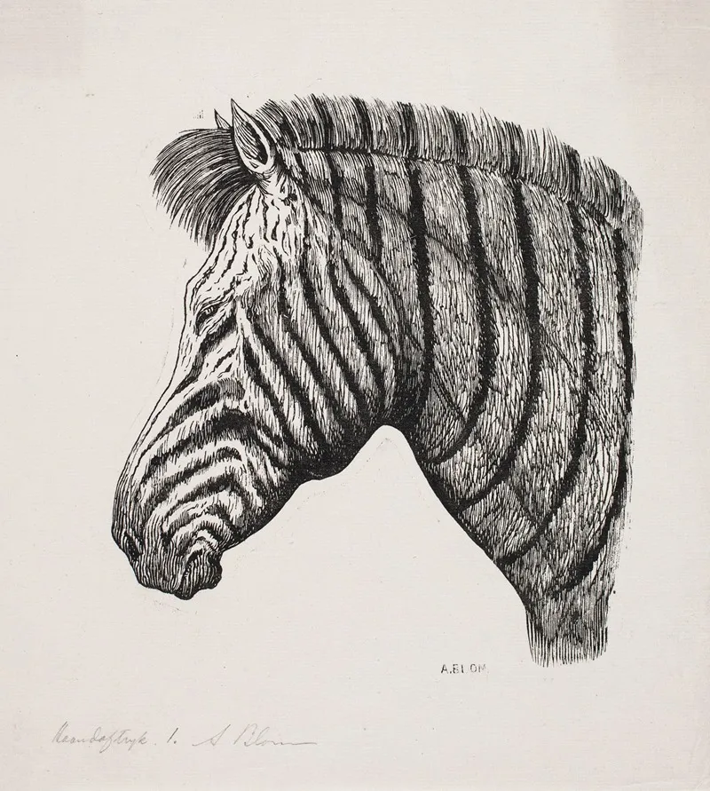 Hoved Af En Zebra Wall Art by Alexander Blom - High-Resolution Digital Print