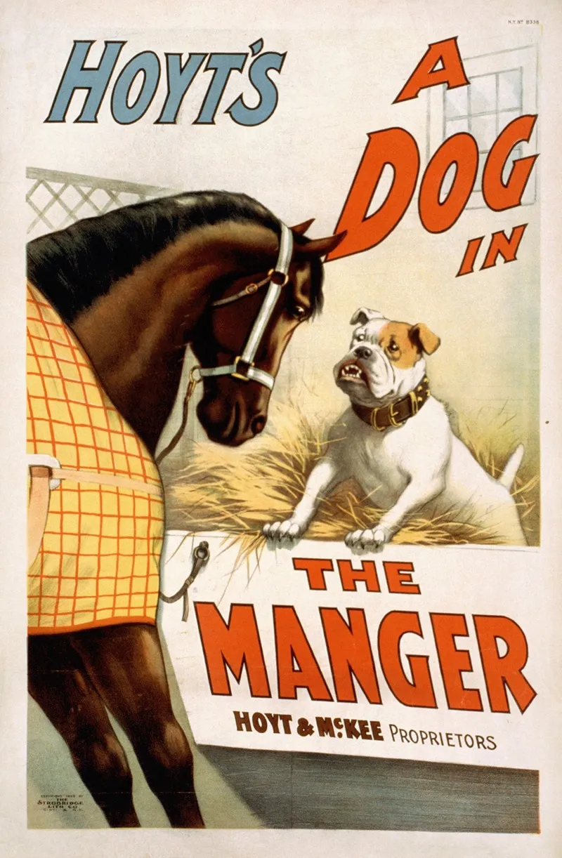 Hoyts A Dog In The Manger