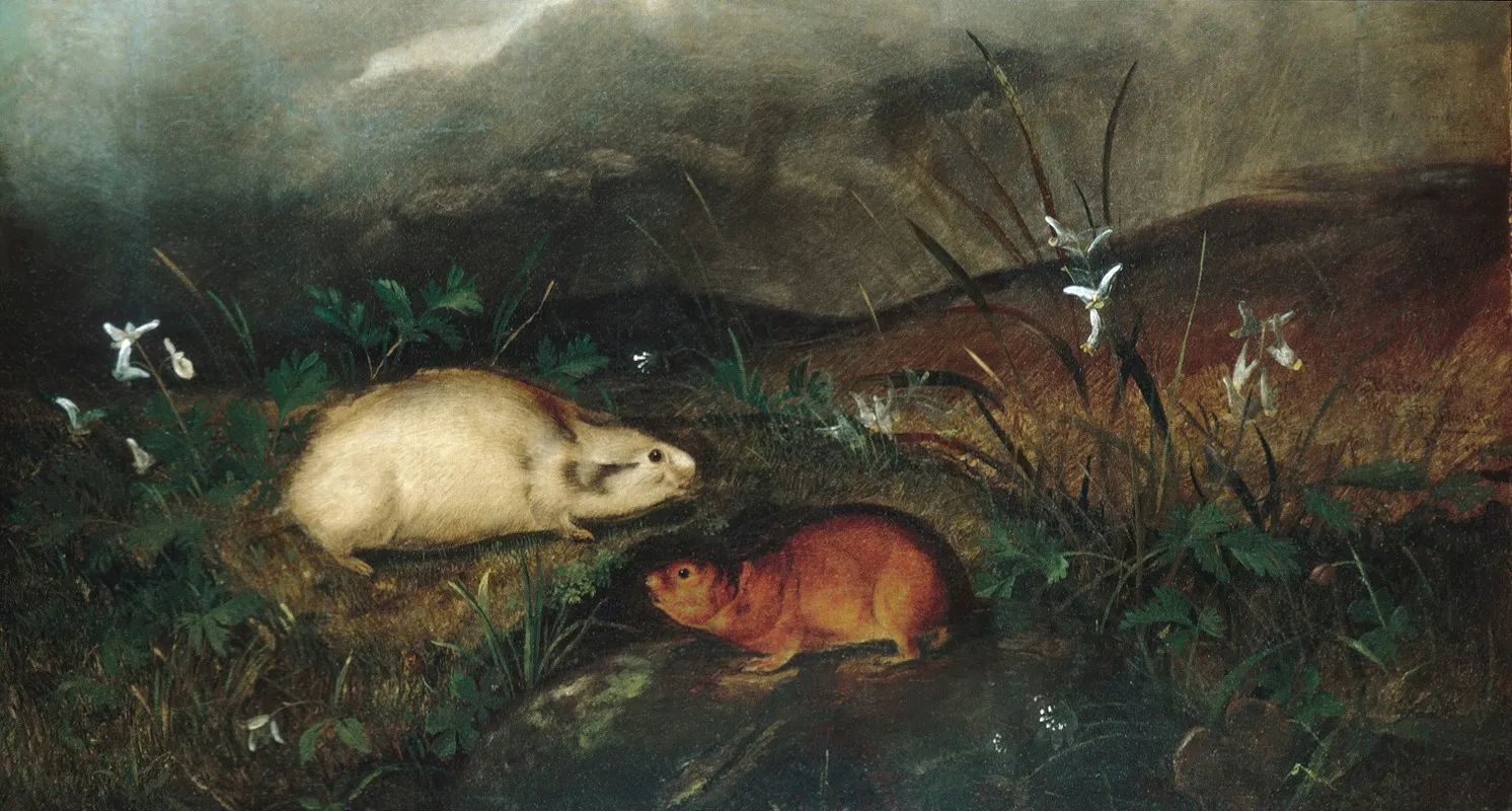 Hudsons Bay Lemming Wall Art by John Woodhouse Audubon - High-Resolution Digital Print