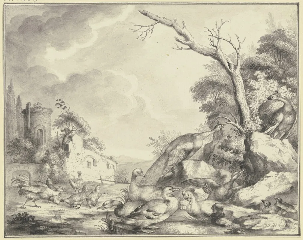 Huhner Enten Und Pfauen An Einem Gewasser Wall Art by Gottlieb Friedrich Riedel   - High-Resolution Digital Print