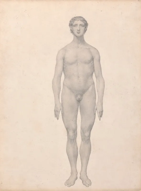 Human Figure Anterior View Undissected Wall Art by George Stubbs - High-Resolution Digital Print