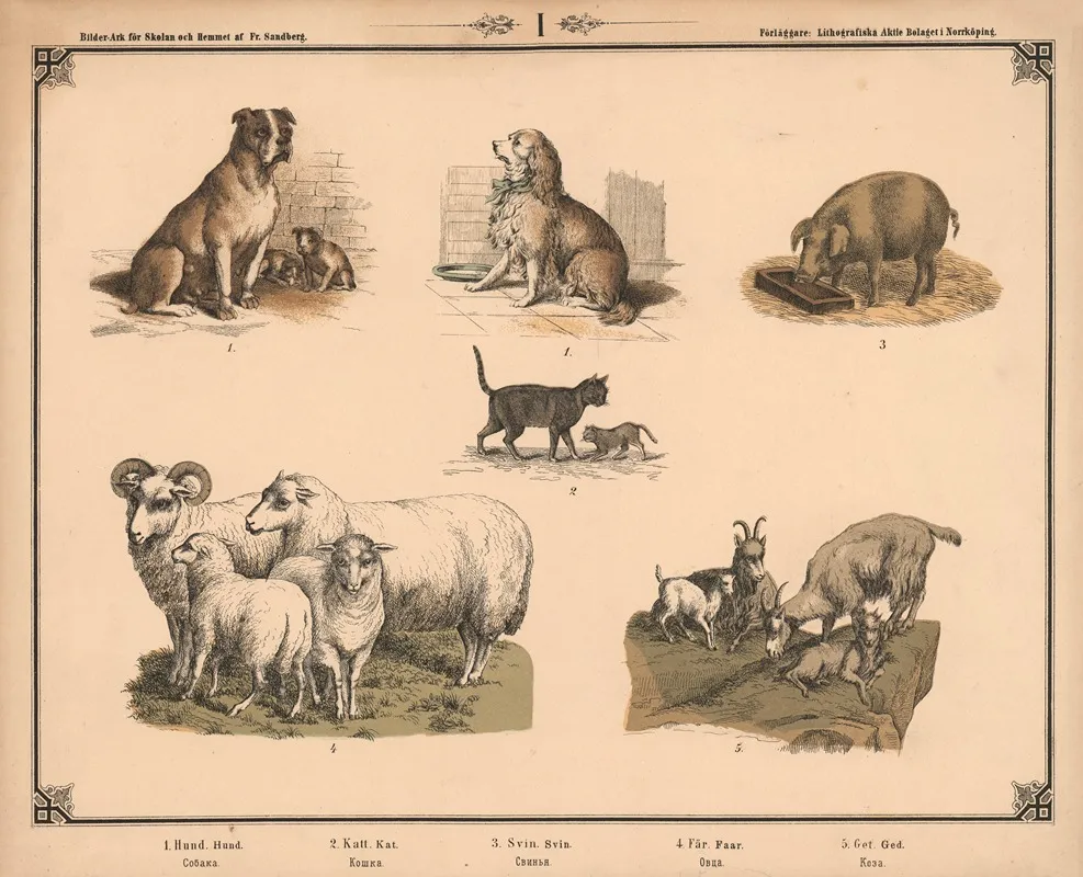 Hund Kat Svin Far Og Ged Wall Art by Fredrik Sandberg - High-Resolution Digital Print
