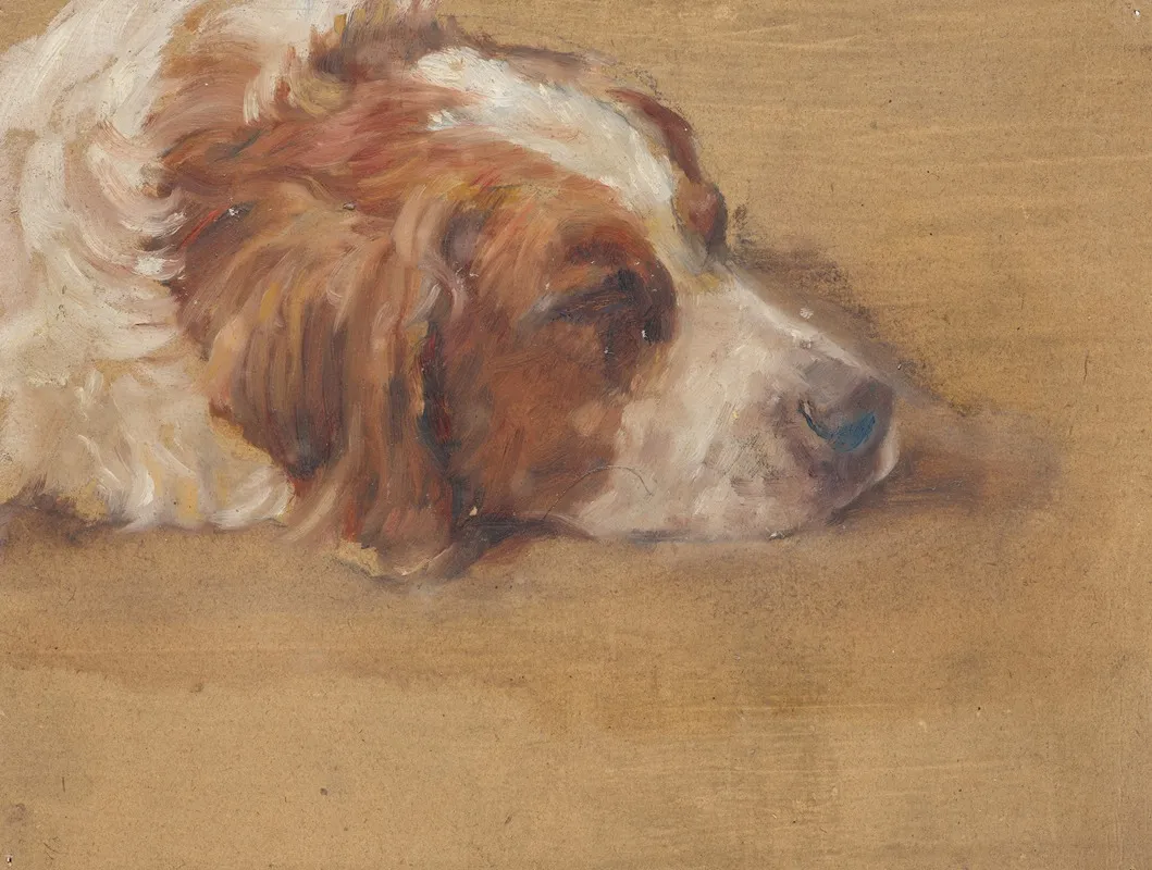 Hundekopf Studie