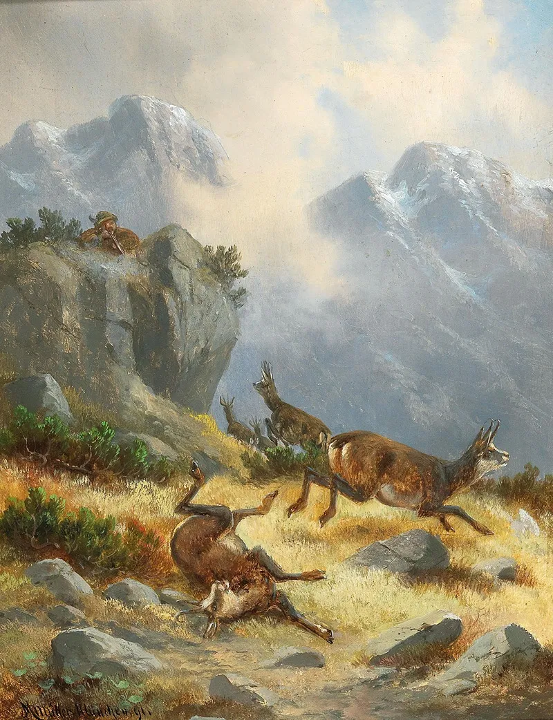Hunting Chamois