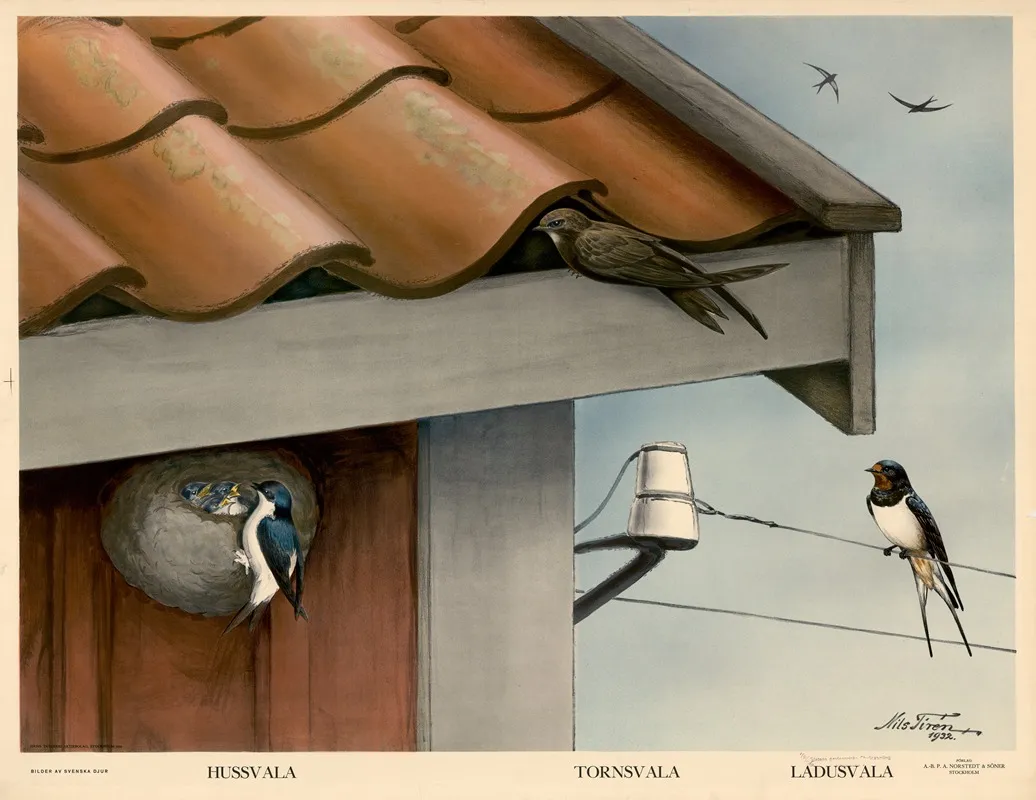 Hussvala Tornsvala Ludusvala Wall Art by Nils Tirén - High-Resolution Digital Print
