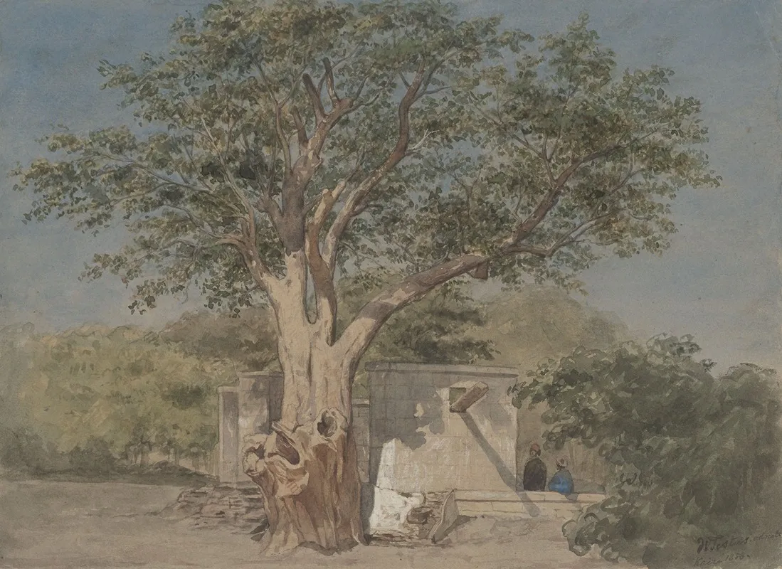 Hutje Onder Boom Te Kairo