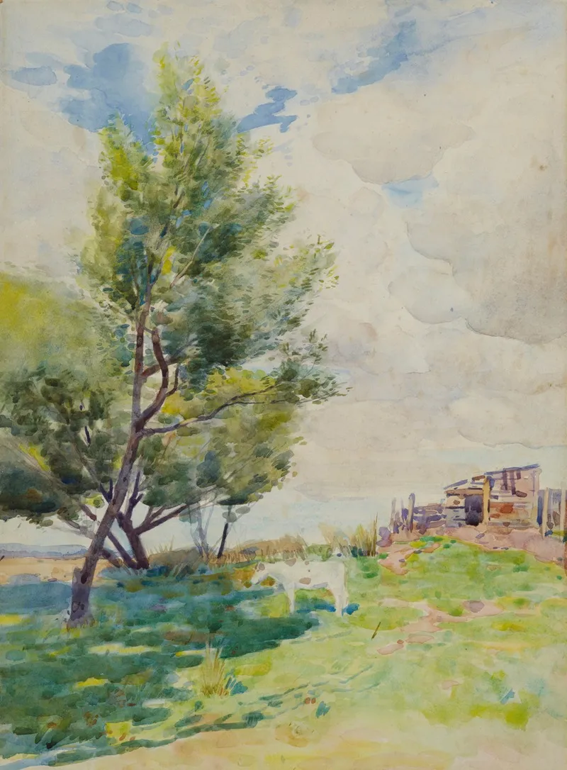 Hutt Valley Landscape