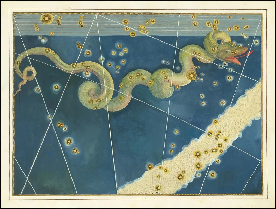 Hydra Wall Art by Johann Bayer - High-Resolution Digital Print