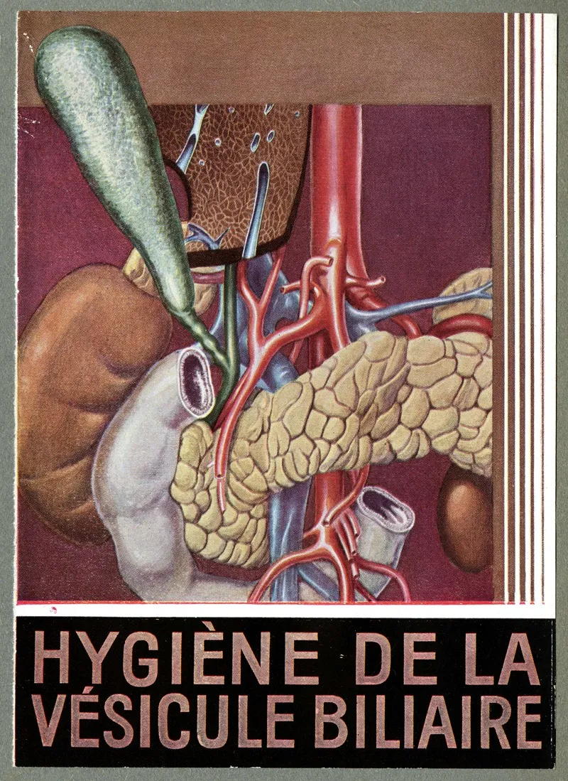 Hygiene De La Vesicule Biliaire
