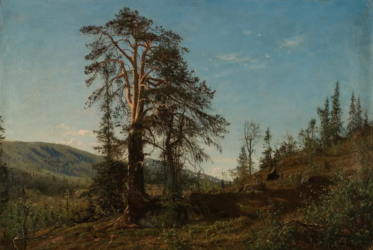 I Vingerasheia Telemark