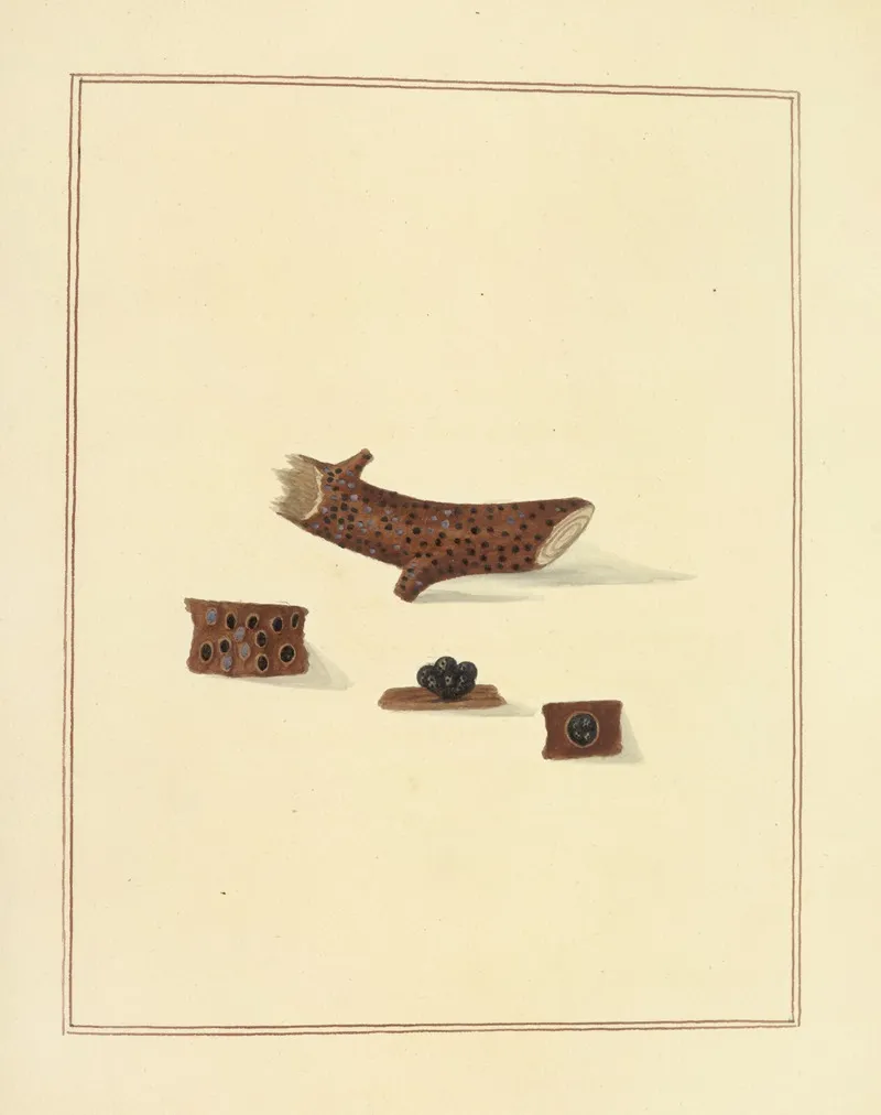 Icons Fungorum Circa Halifax Sponte Nascentium Pl 187 Wall Art by James Bolton - High-Resolution Digital Print