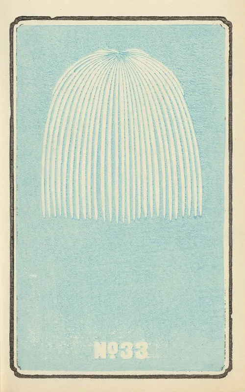 Illustrated Catalogue Of Daylight Bomb Shells No 33 Wall Art by Jinta Hirayama - High-Resolution Digital Print