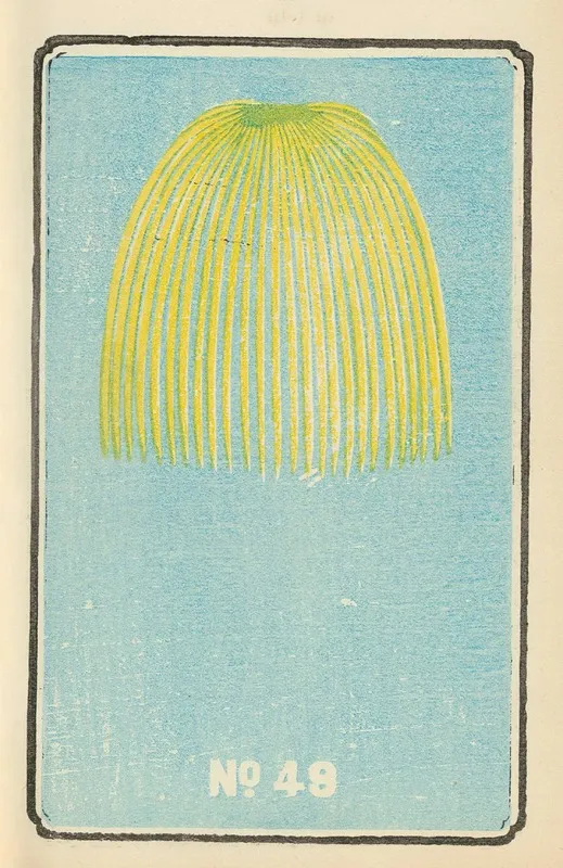 Illustrated Catalogue Of Daylight Bomb Shells No 49 Wall Art by Jinta Hirayama - High-Resolution Digital Print