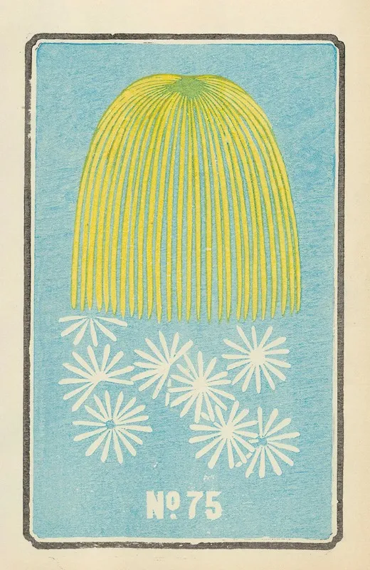 Illustrated Catalogue Of Daylight Bomb Shells No 75 Wall Art by Jinta Hirayama - High-Resolution Digital Print