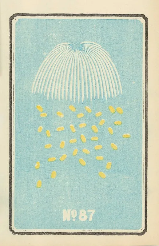 Illustrated Catalogue Of Daylight Bomb Shells No 87 Wall Art by Jinta Hirayama - High-Resolution Digital Print